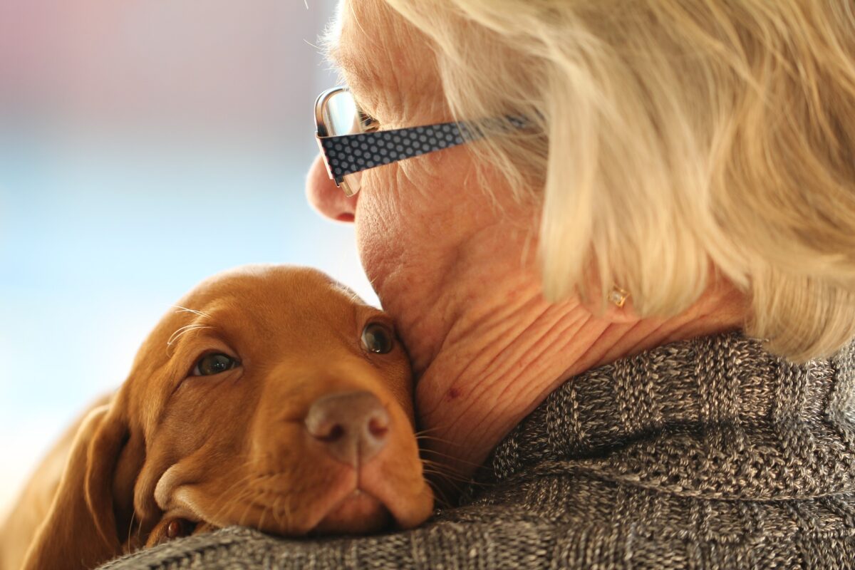 Hund als Erbe von Frauchen